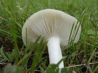 MISC_2316.JPG
