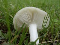 MISC_2318.JPG