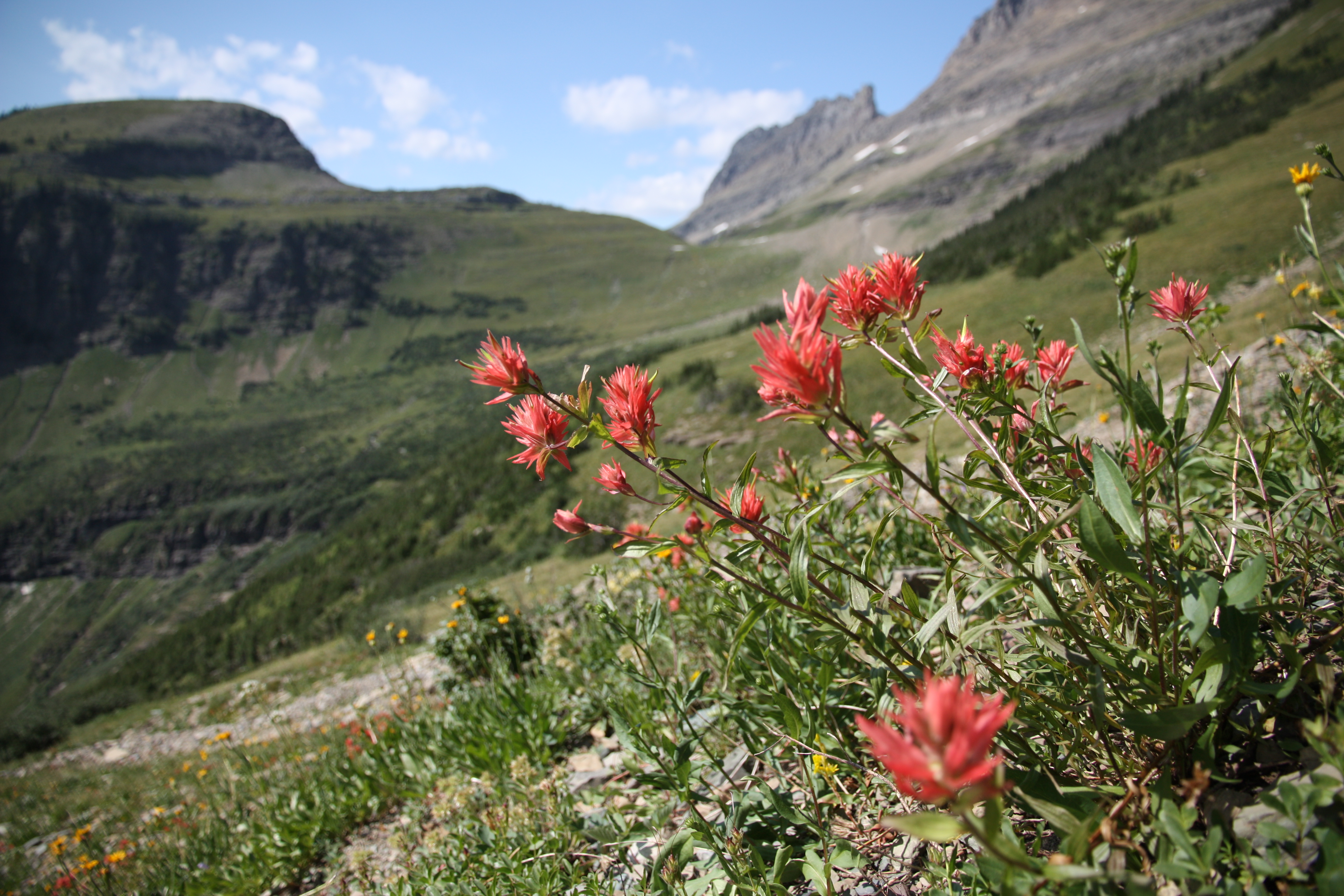 05_Highline2_IMG_7879
