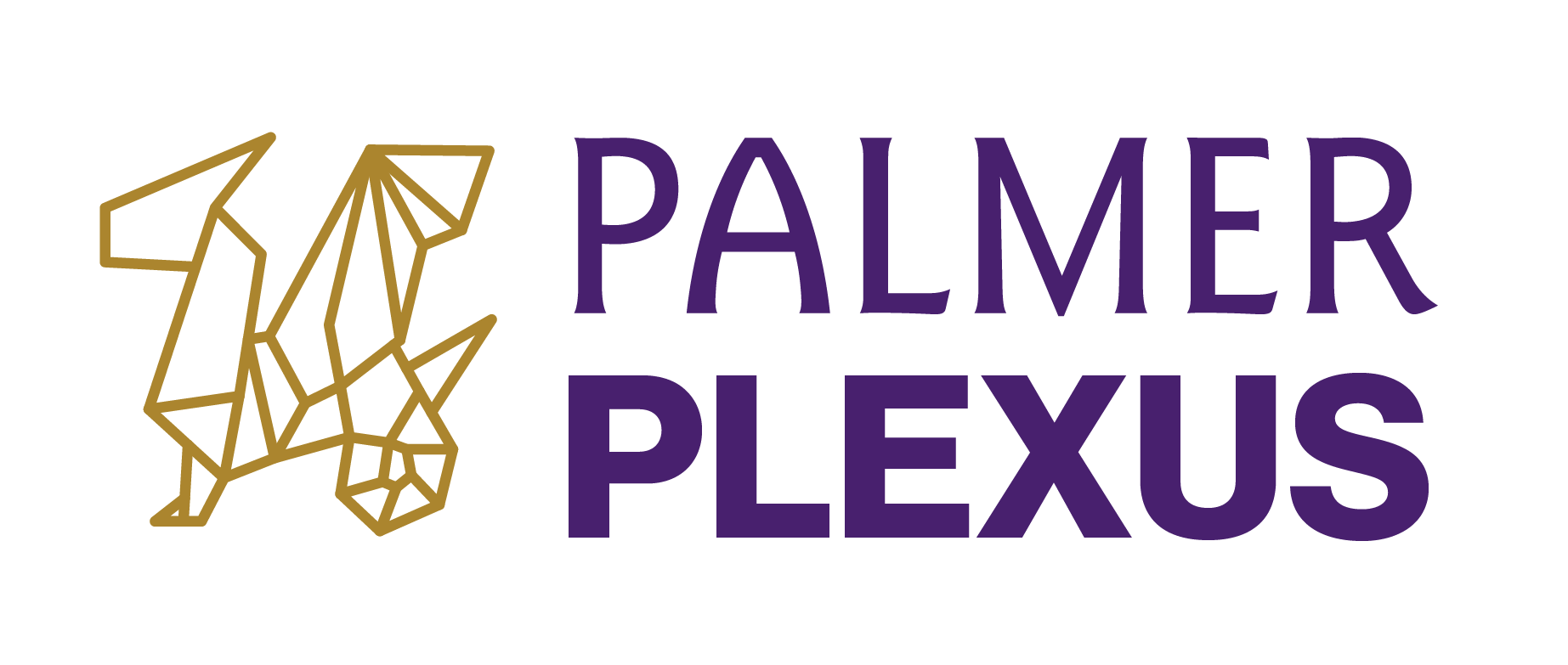 Palmer Plexus Home