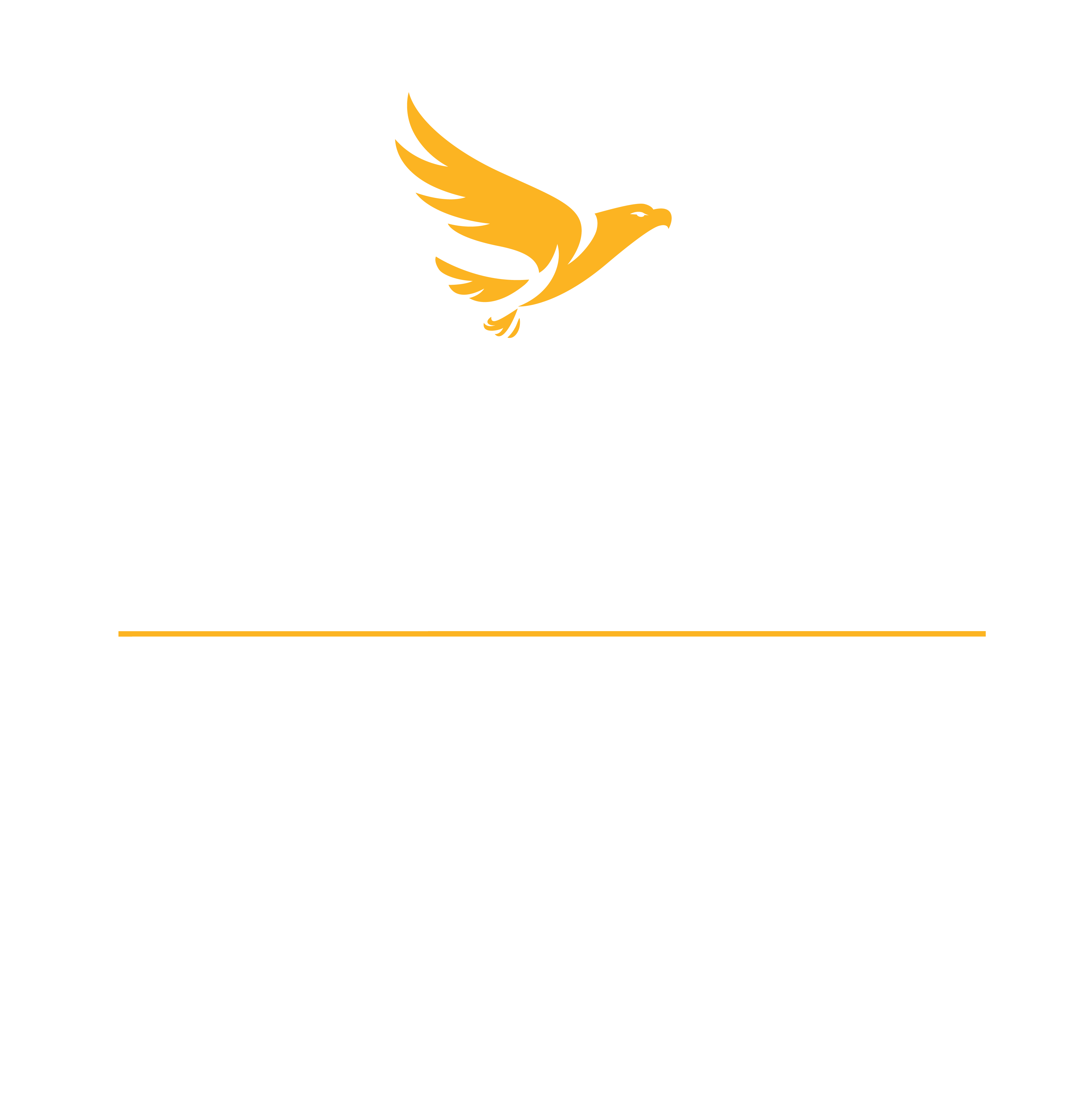 The Eagle Network Logo