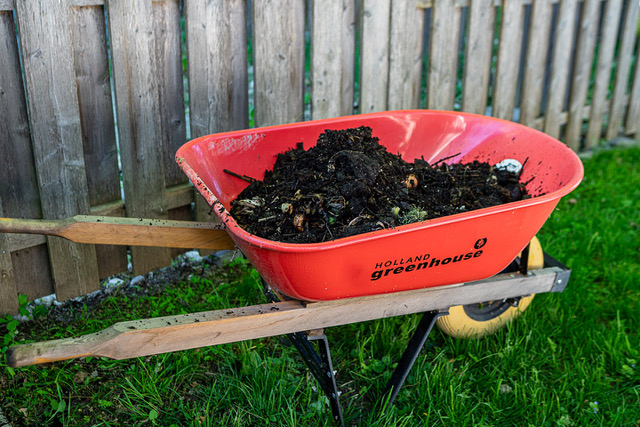 Wheelbarrow with compost