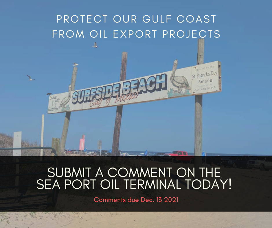 Protect the Gulf Coast from oil export projects!