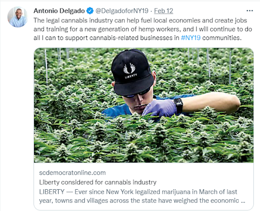 The legal cannabis industry can help fuel local economies and create jobs and training for a new generation of hemp workers, and I will continue to do all I can to support cannabis-related businesses in #NY19 communities.