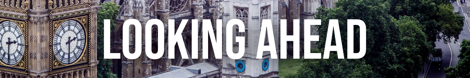 Graphic that reads: 'Other Work'. With photo of Palace of Westminster in background.