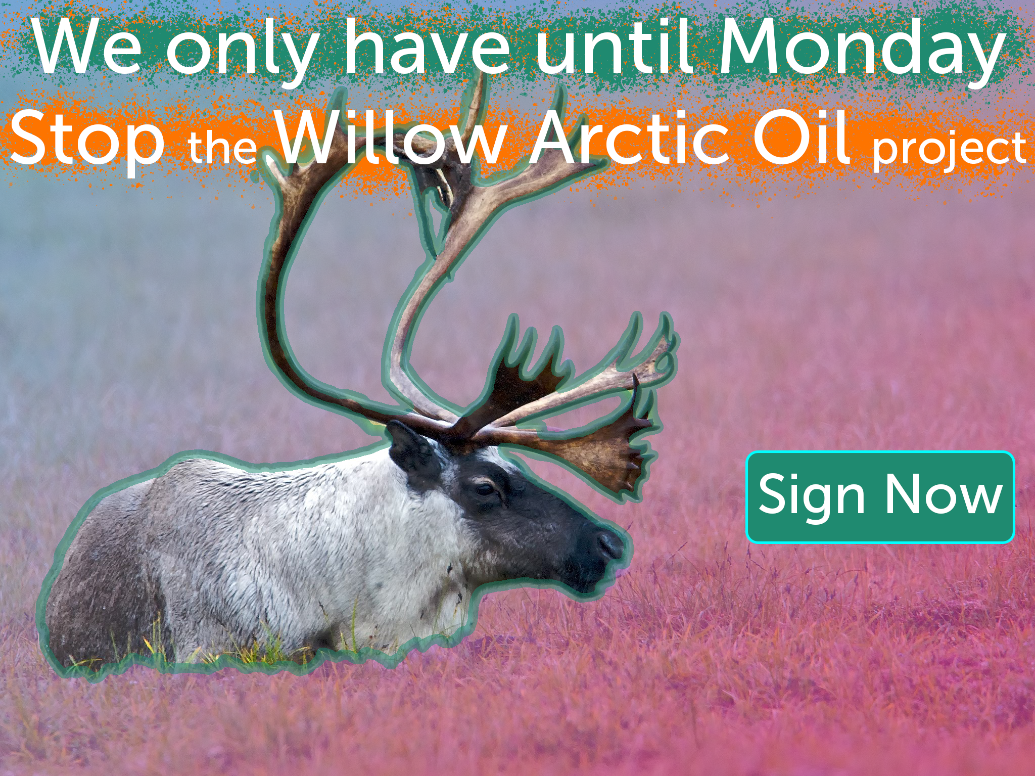 Stop Willow, Save the Arctic