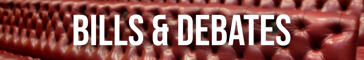 Graphic that reads: 'Other Work'. With photo of Palace of Westminster in background.