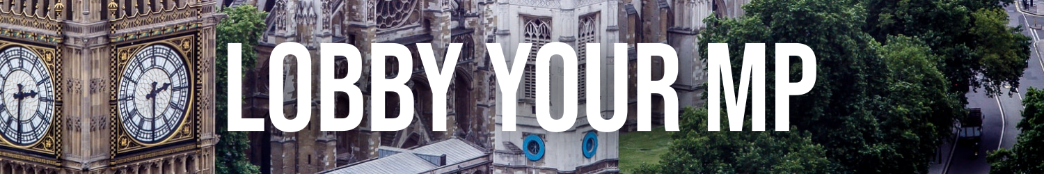 Graphic that reads: 'Other Work'. With photo of Palace of Westminster in background.