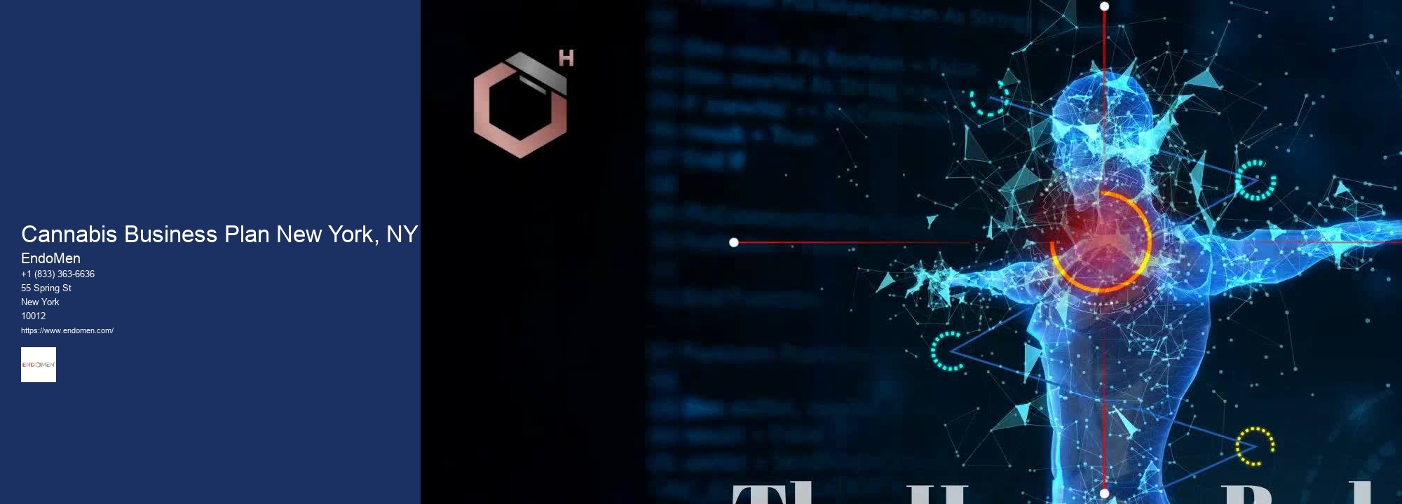 Cannabis Business Plan New York, NY