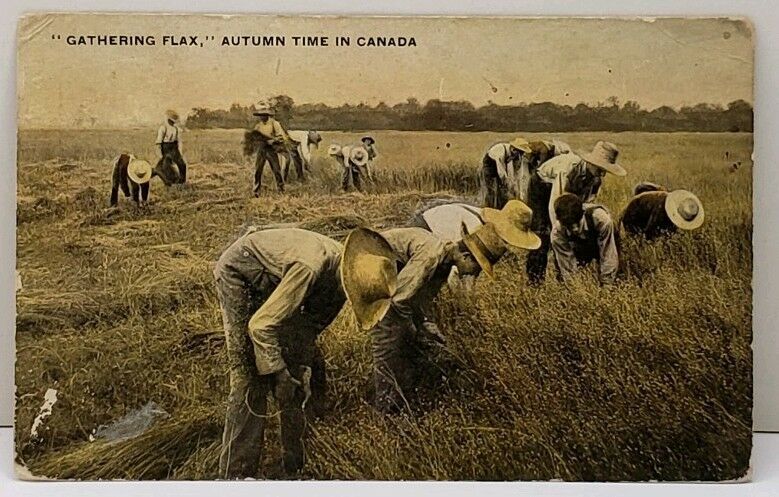 "Gathering Flax," Autumn Time in Canada
