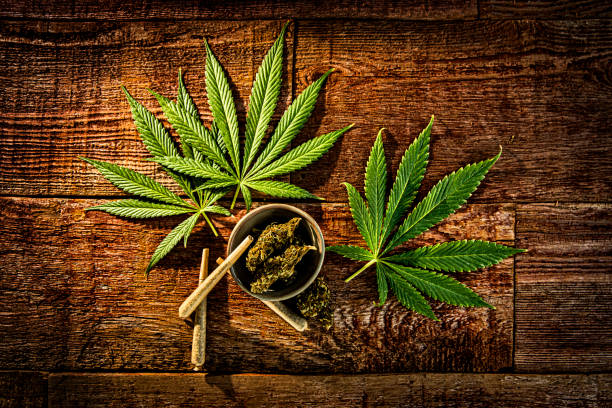 Boulder Colorado Recreational Dispensary Menu