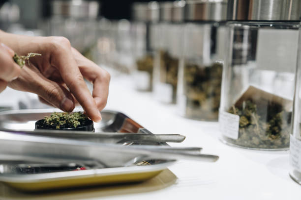 18+ Medical Dispensary Boulder