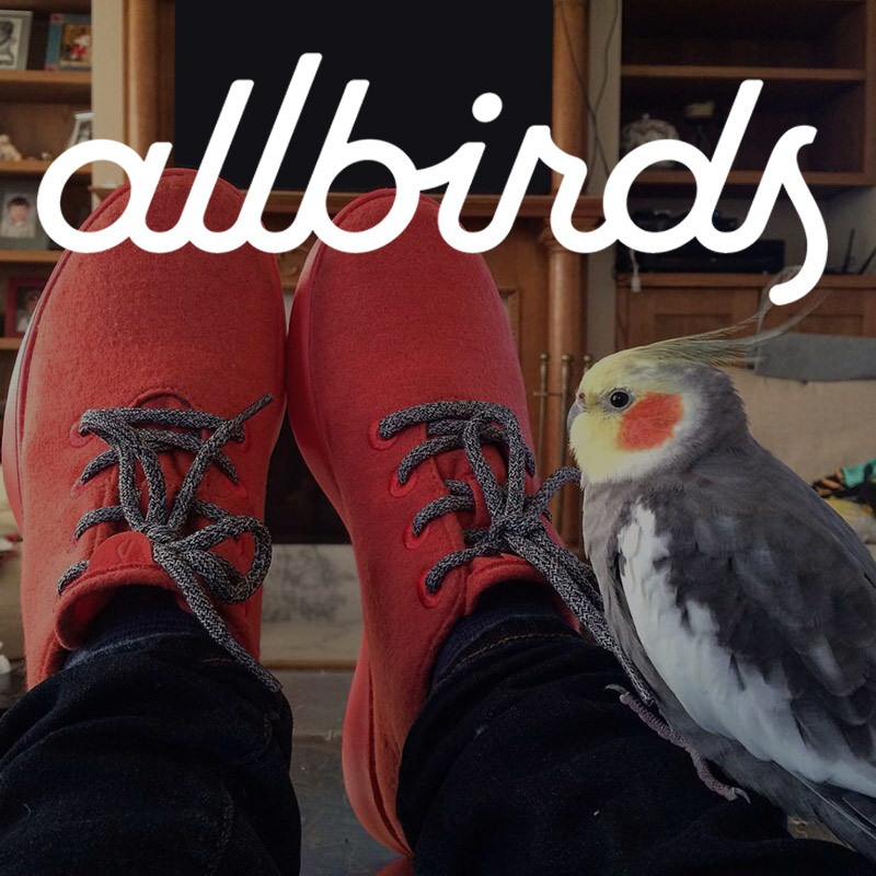 Lewis Allbirds Wool Runners In Orange 1 1