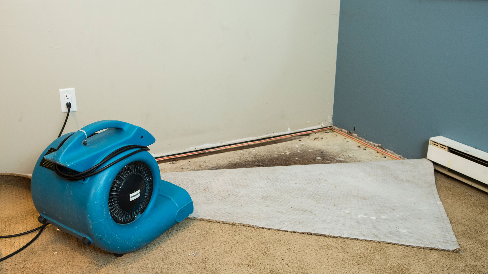 Water Damage Restoration Capital Carpets
