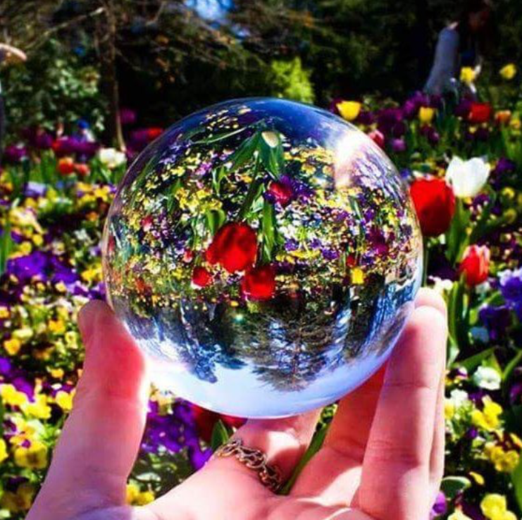 Floriade Twilight Concert