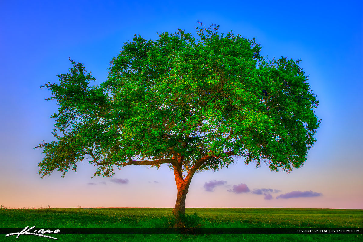 Dyer Park West Palm Beach Dyer Park West Palm Beach