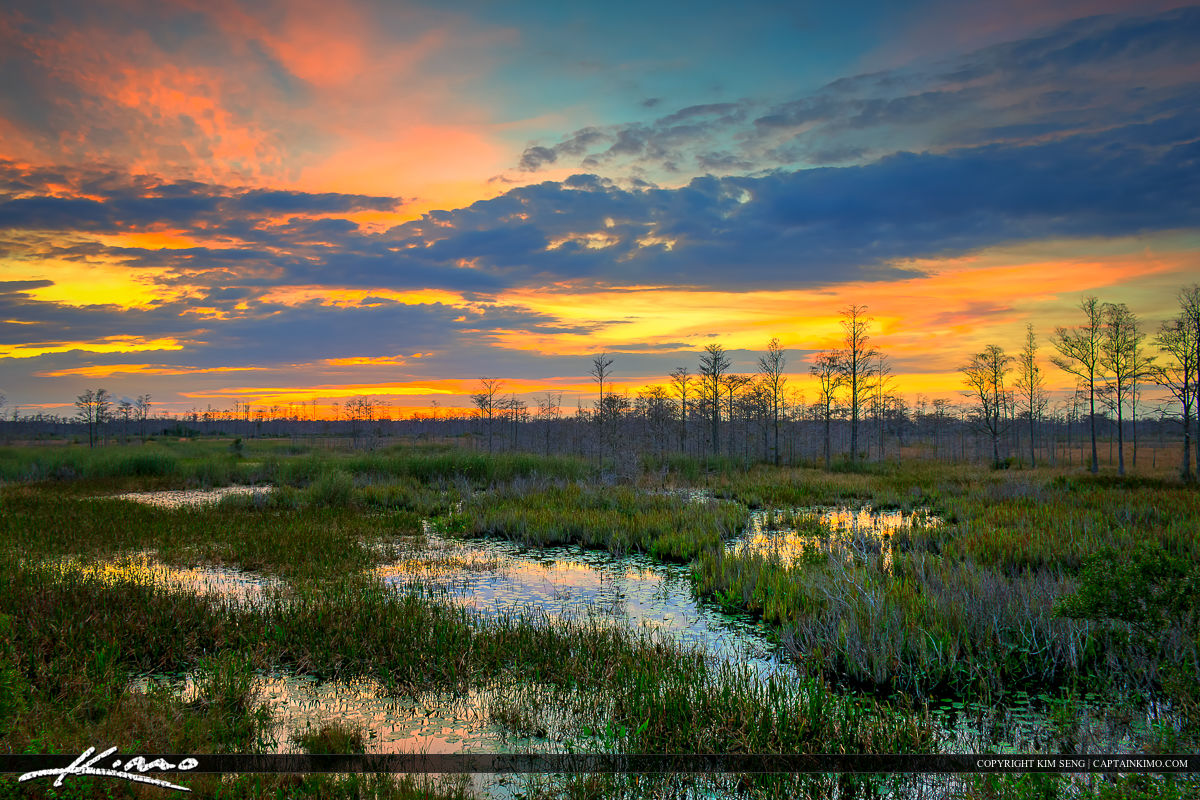 Florida Sunset Over Wetlands at the Loxahatchee Slough