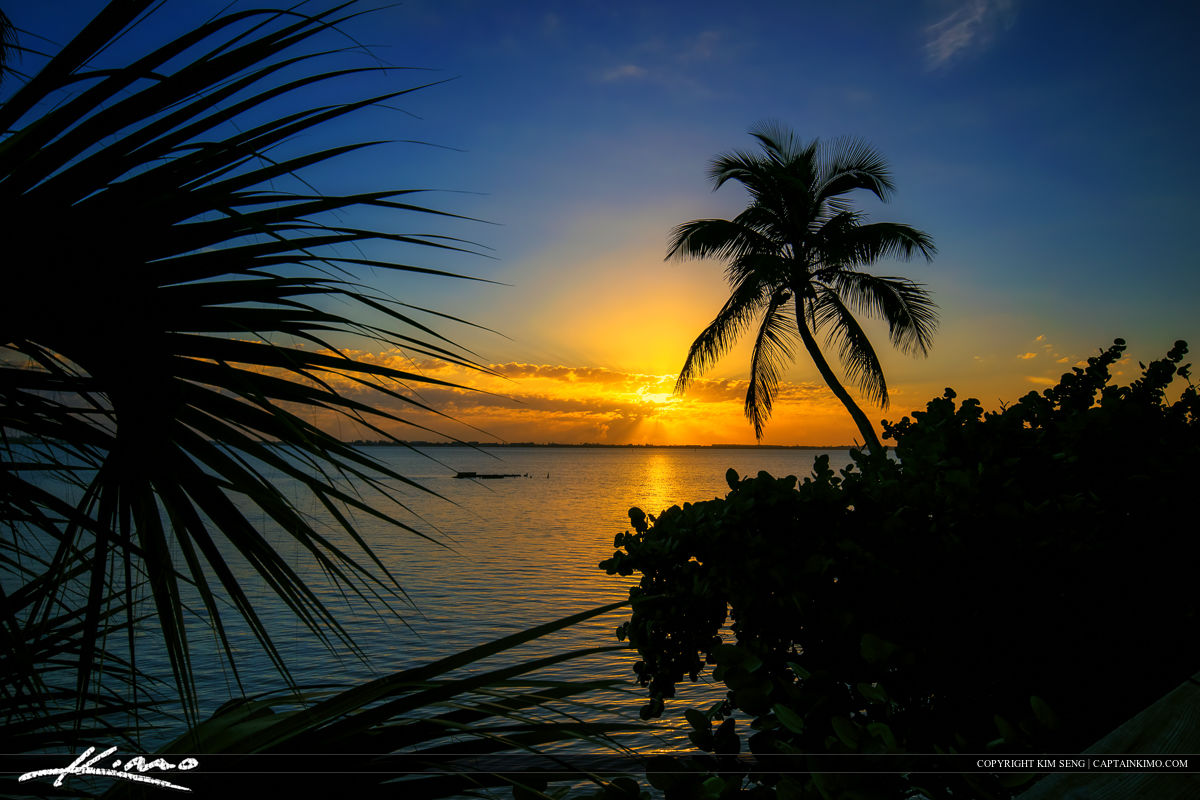Palm Tree Sunrise at Indian Riverside Park Jensen Beach