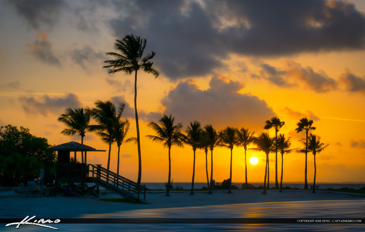 Sunrise at Matheson Hammock Park in Coral Gables Coconut Trees