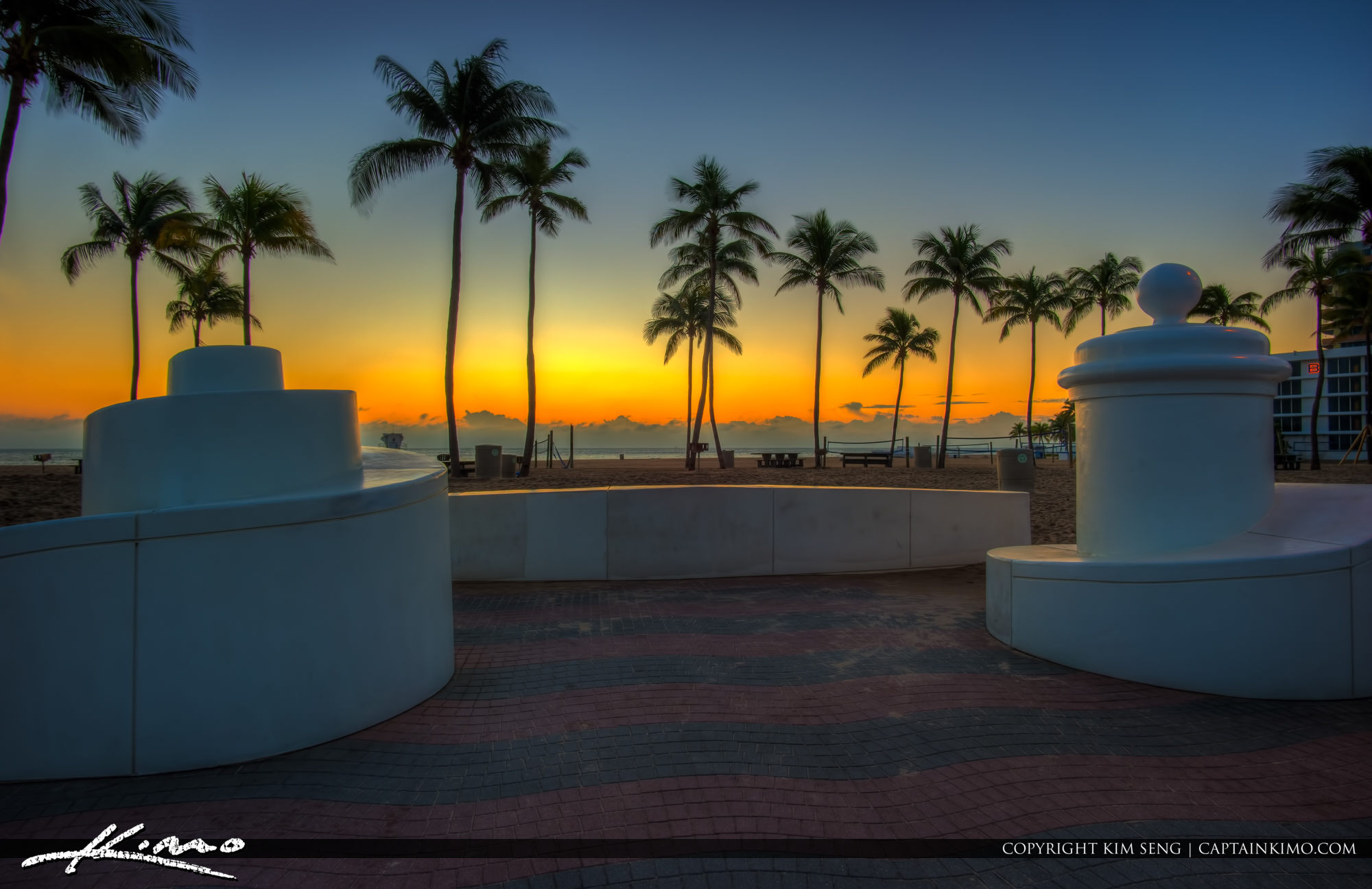 Fort Lauderdale Beach Park Coconut Tree Before Sunrise HDR