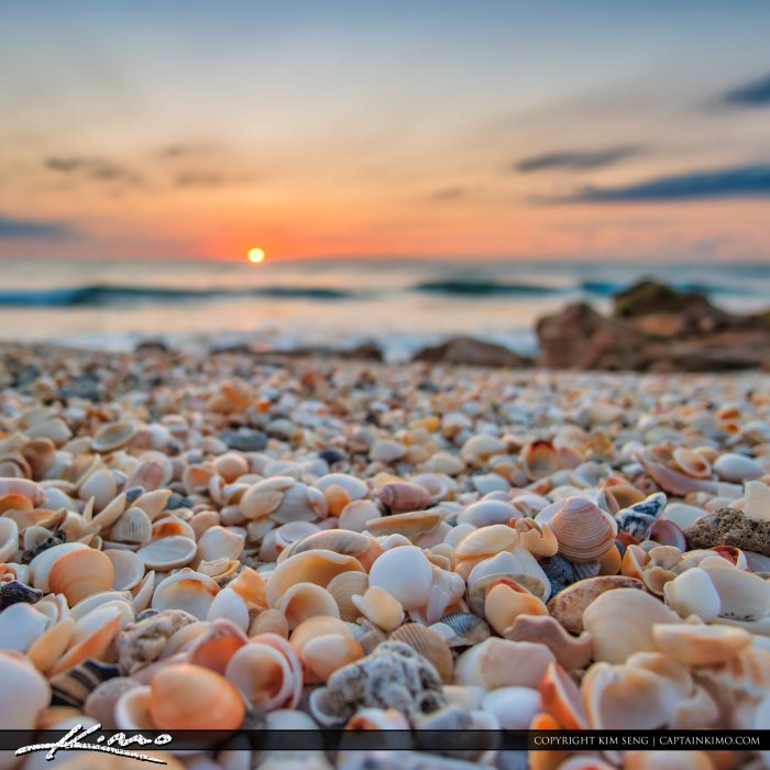 Sunrise with Shells at Beach