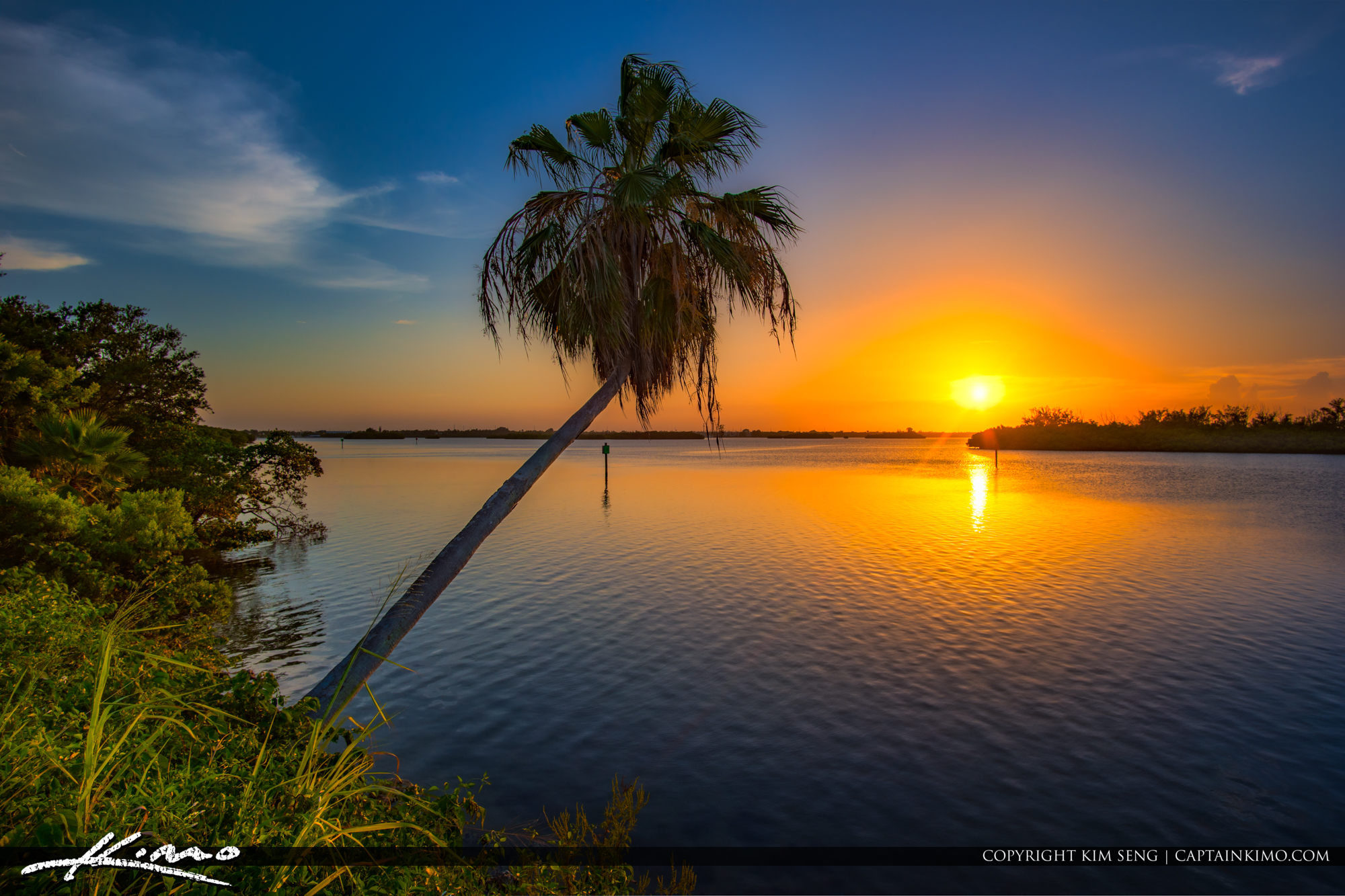 Indian River Sunset with Palm Tree Fort Pierce Florida HDR