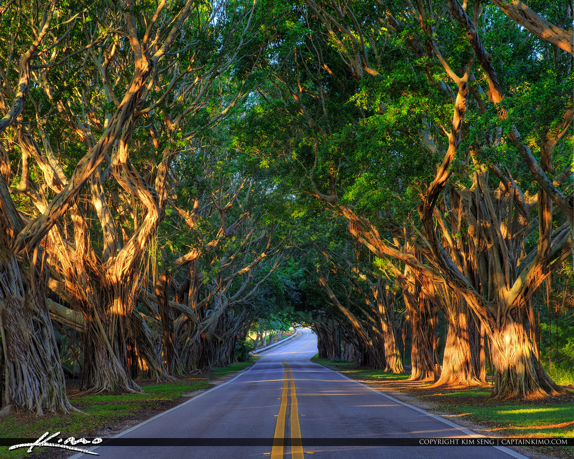 South Beach Road Jupiter Island South Beach Road Jupiter Island