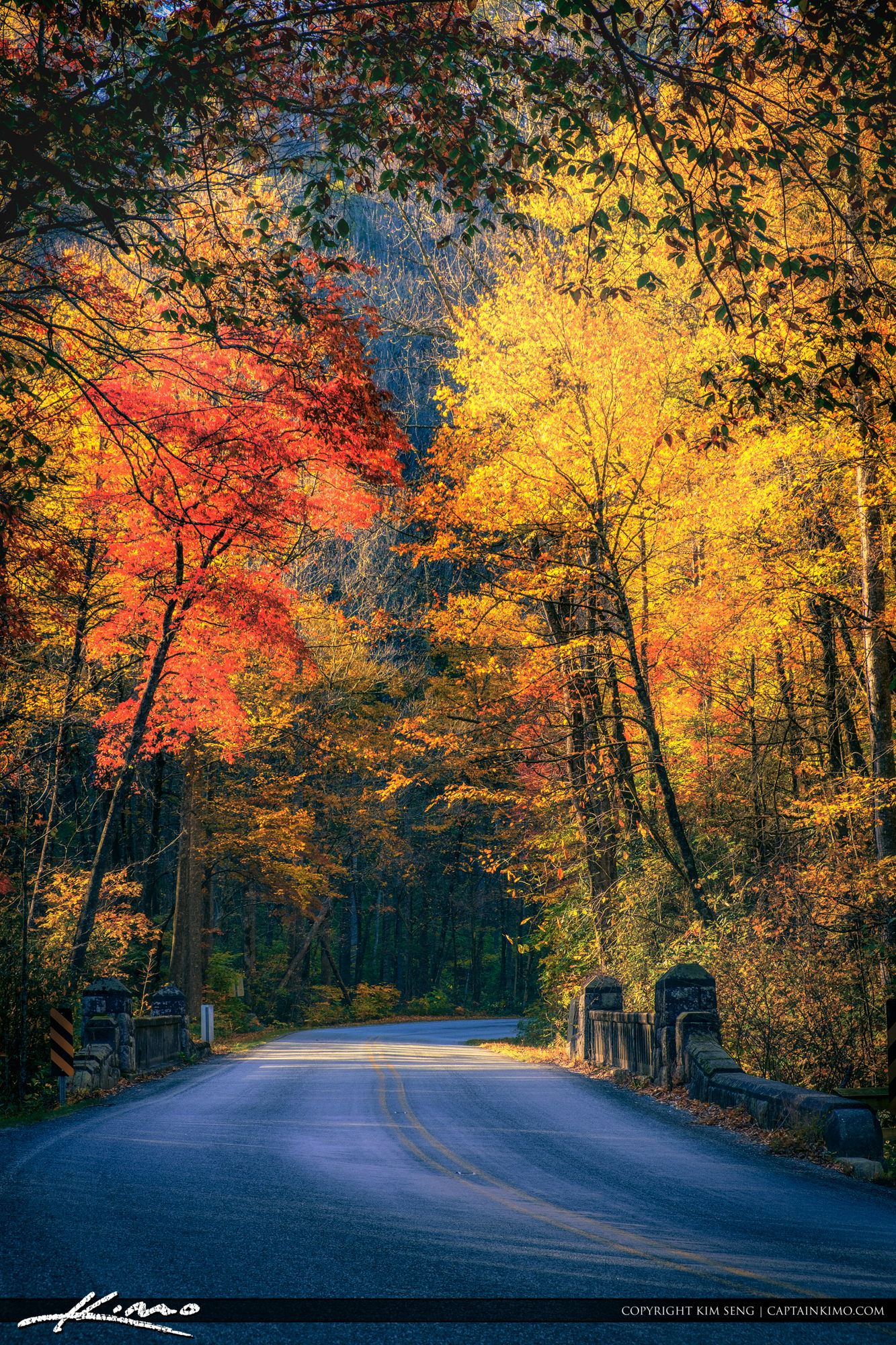 Moore Cove Falls Trail Entrance Fall Colors Brevard North Carolina