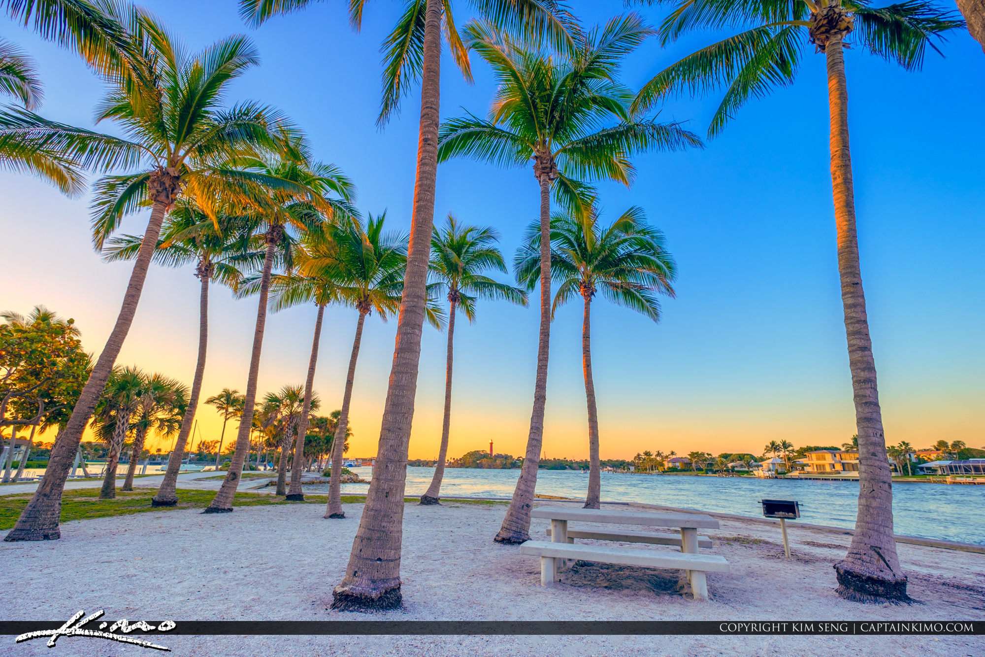 Dubois Park Jupiter Florida Coconut Trees BBQ Grill HDR Photography