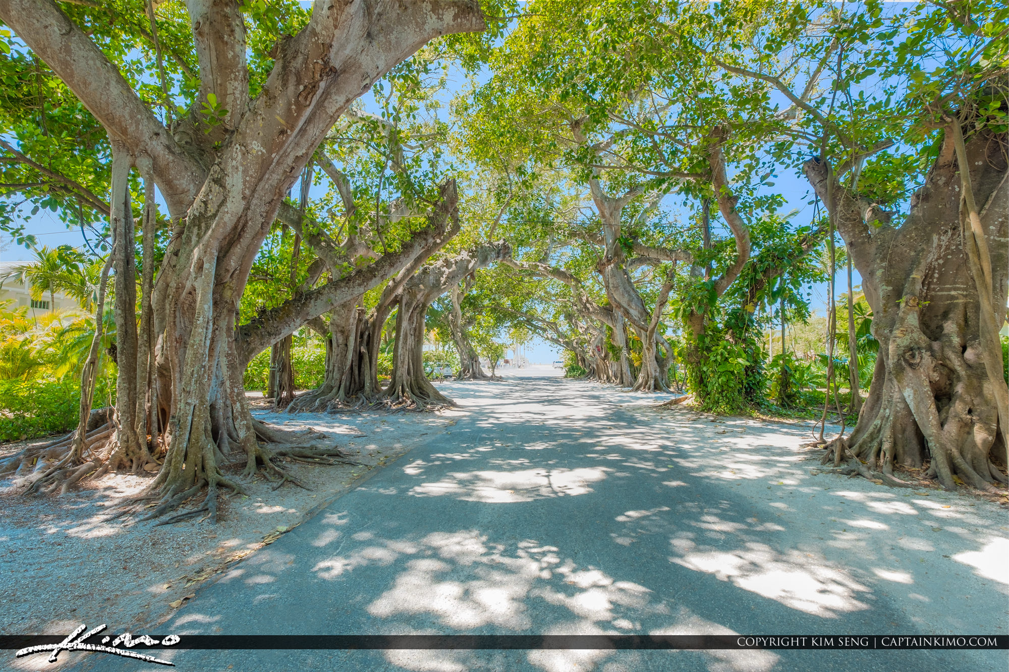 Banyan Street Boca Grande Florida Gasparilla Island HDR Photography