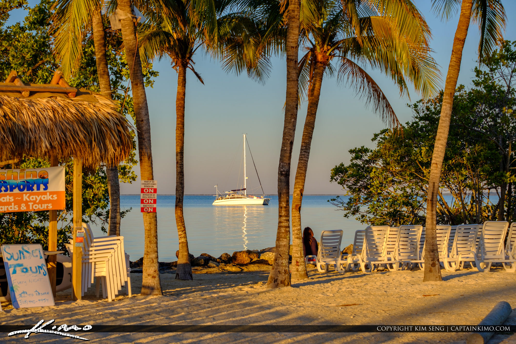 Coconut Tree View Gilberts Resort Key Largo Florida Keys HDR