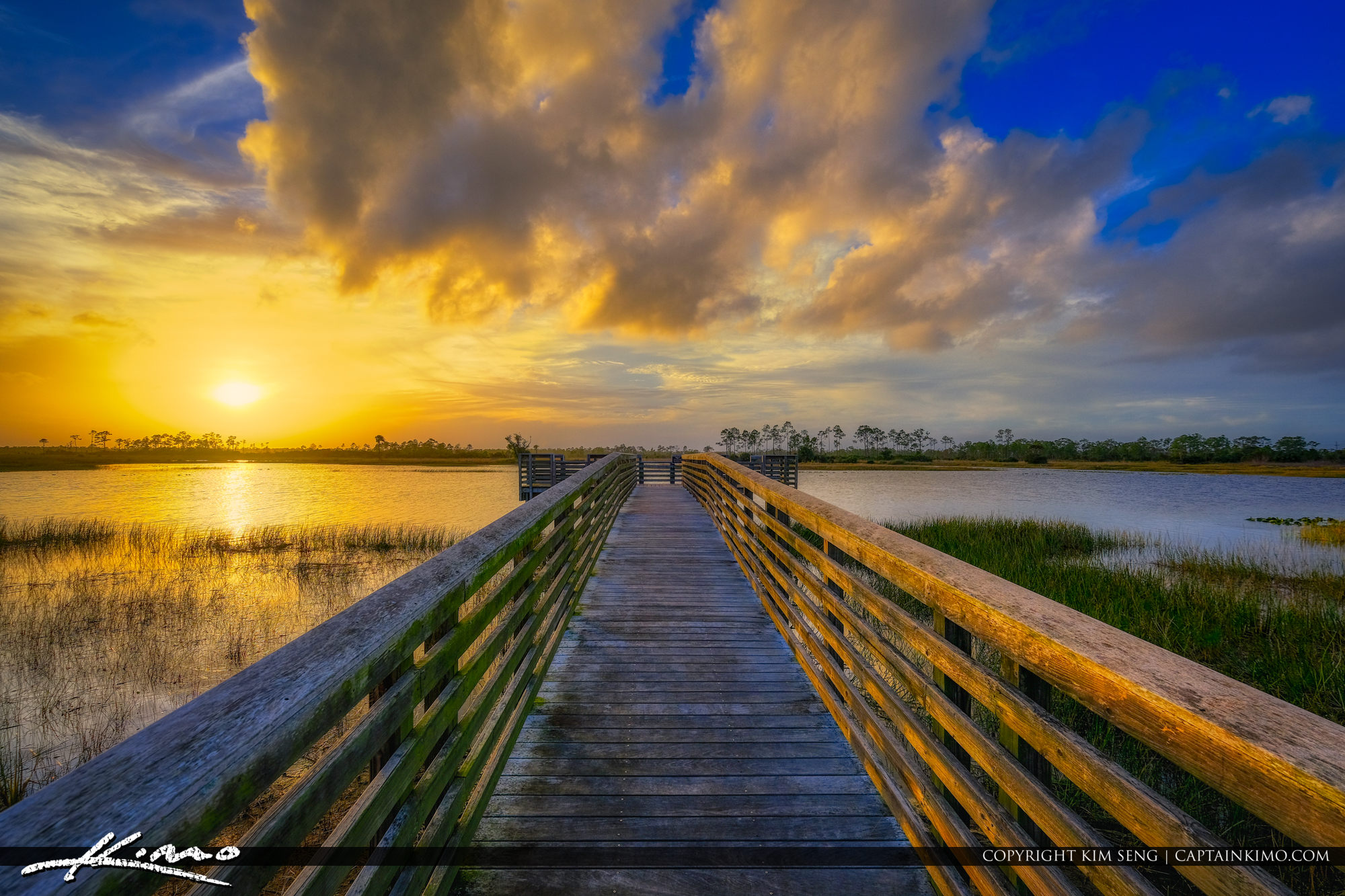 Pine Glades Natural Area Jupiter Farms Sunset Florida Preserve HDR