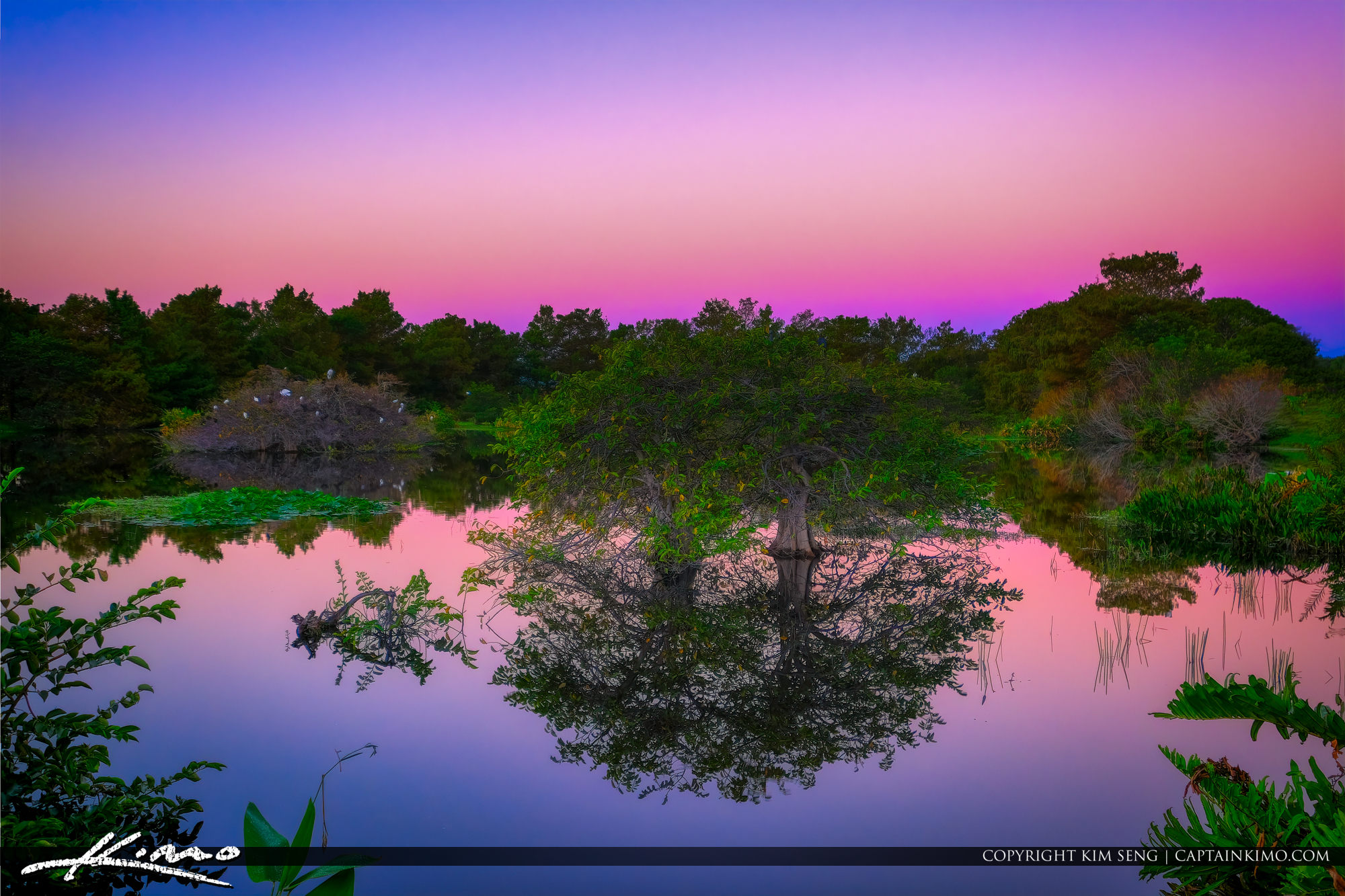 Delray Beach Preserve Early Morning Sunrise HDR Photography by Captain Kimo