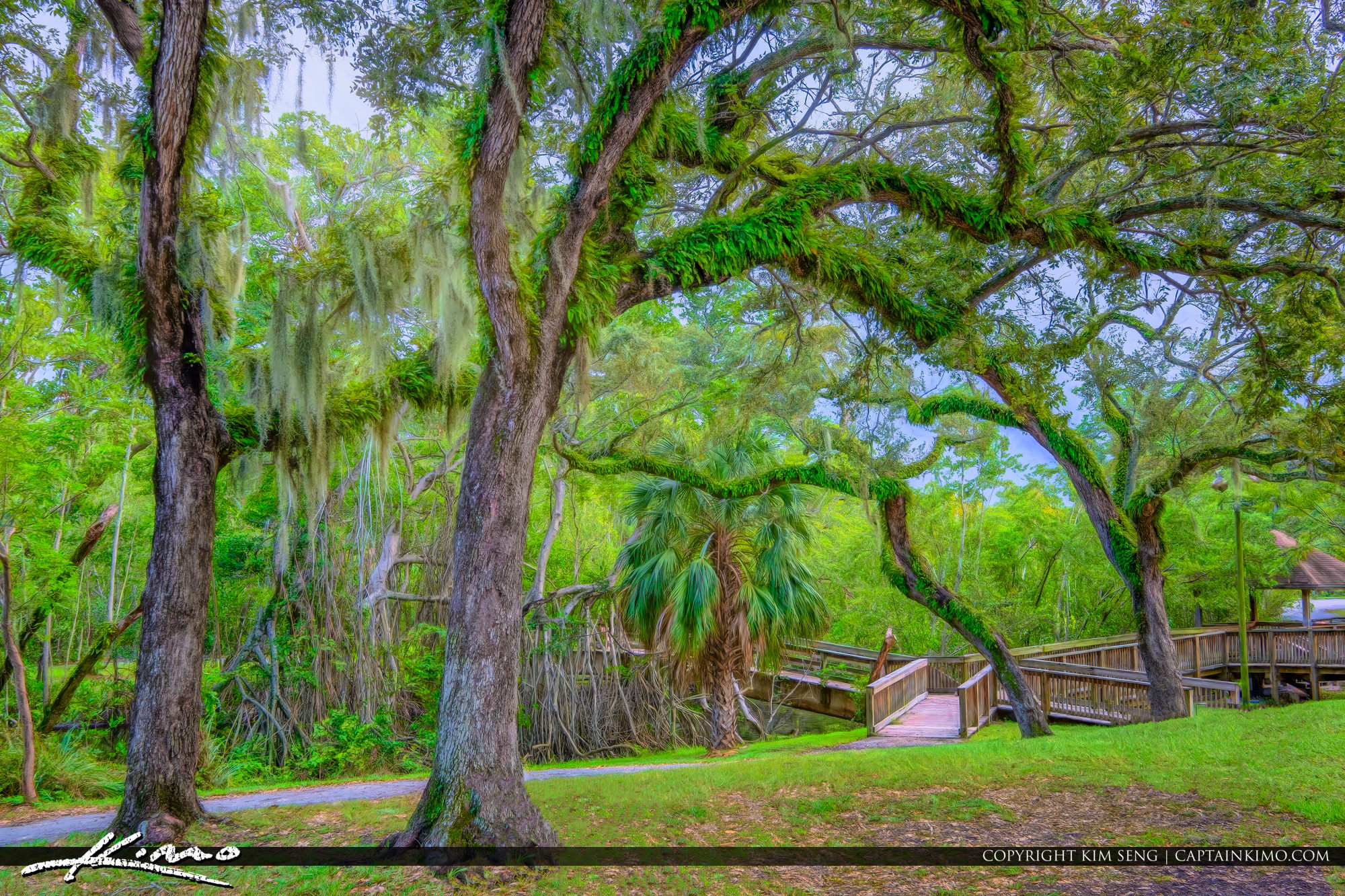 Enchanted Forest Elaine Gordon Park North Miami Florida HDR
