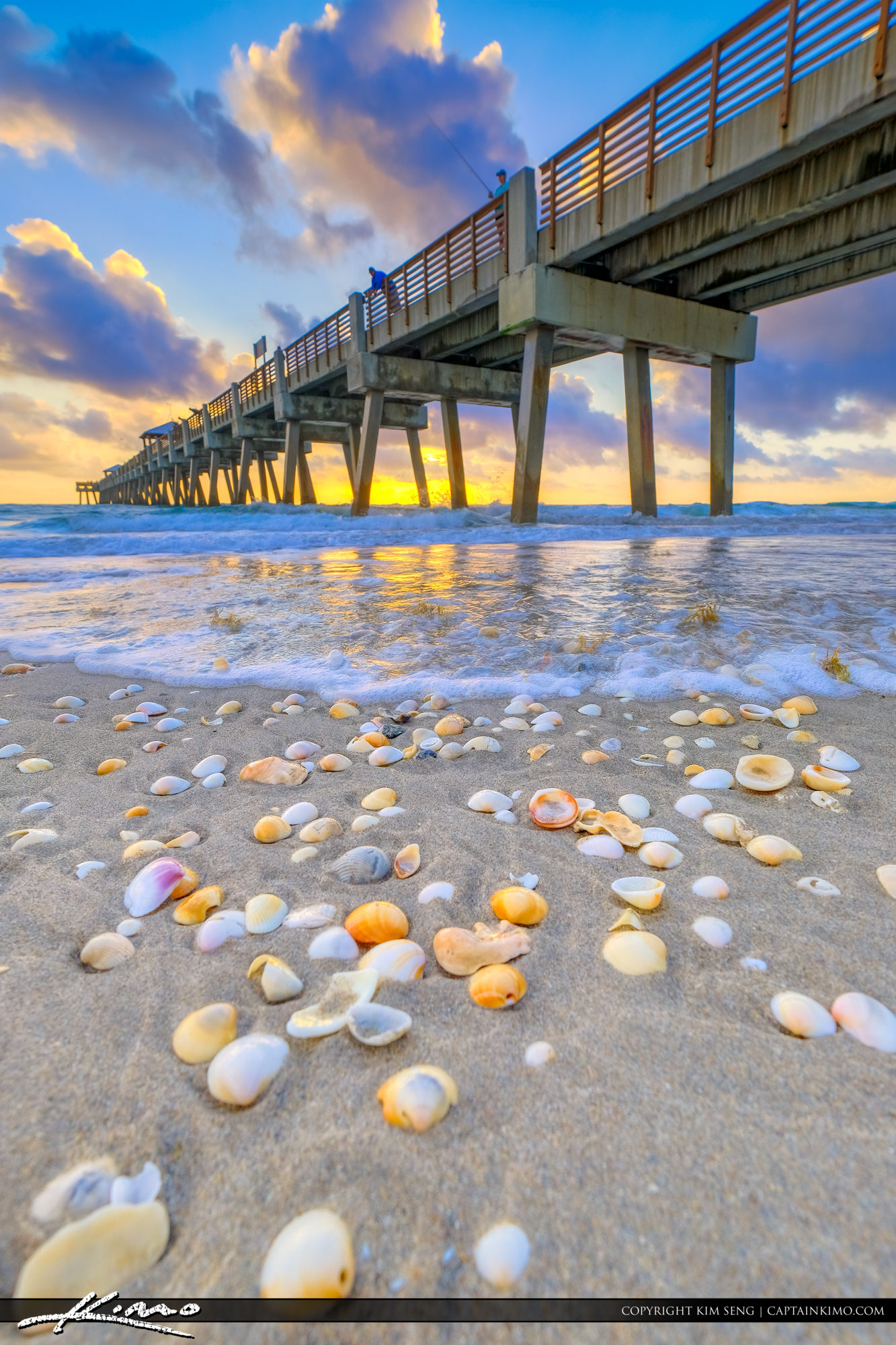 Juno Beach Pier Sunrise Shells at Atlantic Ocean HDR Photography by Captain Kimo
