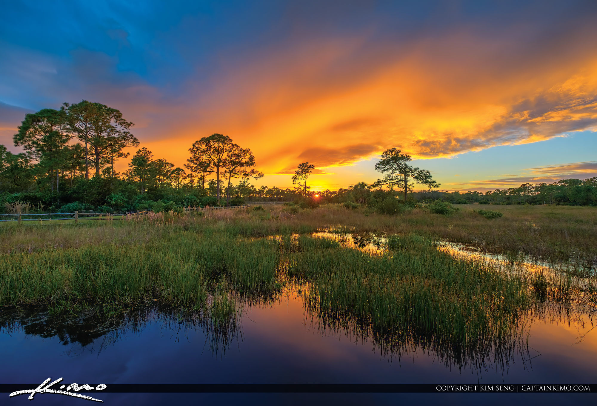 Acreage Pines Natural Area Palm Beach County Florida HDR Photography