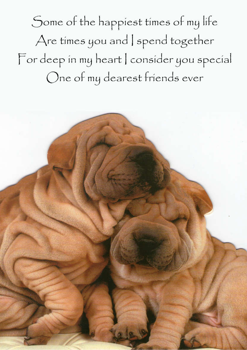Chinese Sharpei Cuddle Card in Card Creator Gallery