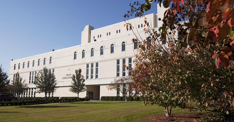 Brody School Of Medicine Greenville MedicineWalls
