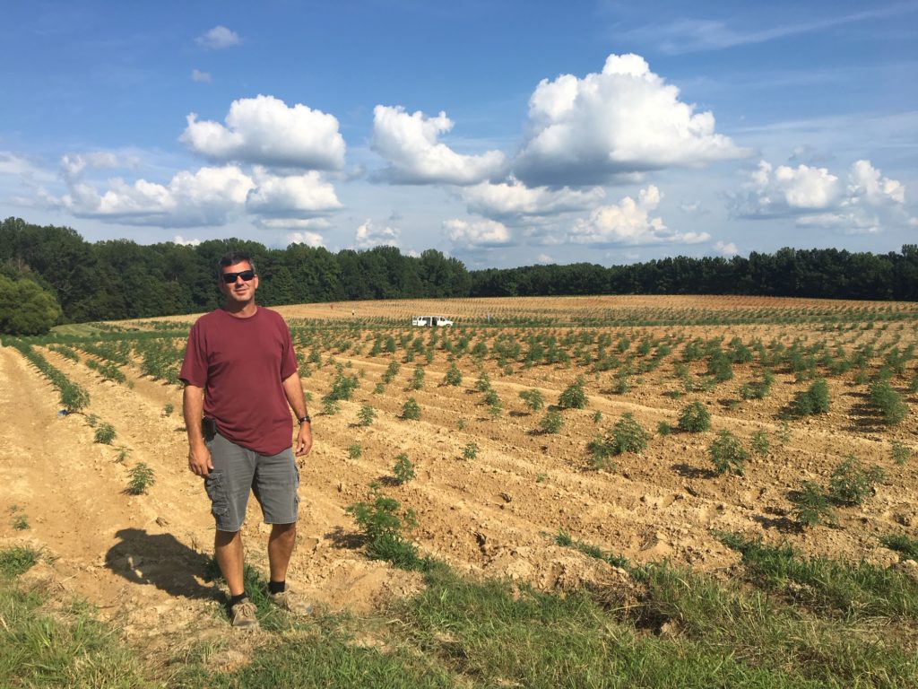 North Carolina farmers high on prospects for state's newest cash crop