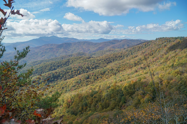Freshman rep normally takes up decade-extensive press for mountain faculty – Carolina Journal