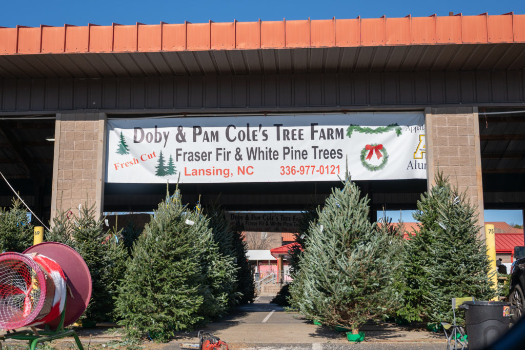 Christmas Trees Nc Farmers Market 2022 Fresh Christmas Tree Sales Up This Year, But Supply Is Low - Carolina  Journal - Carolina Journal
