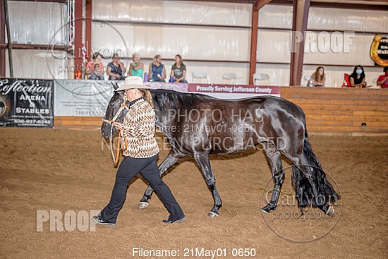 05-01-21 Walking Horse Owners Association