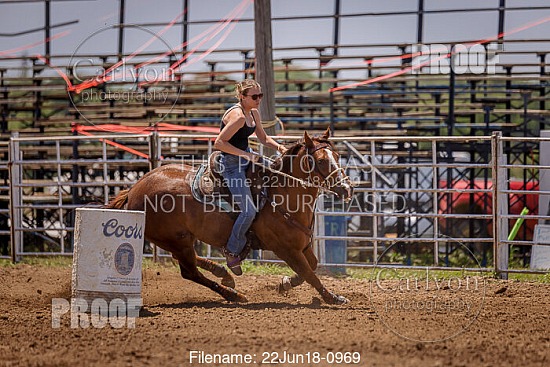 06-18-22 1 Dream at Horse Palace West
