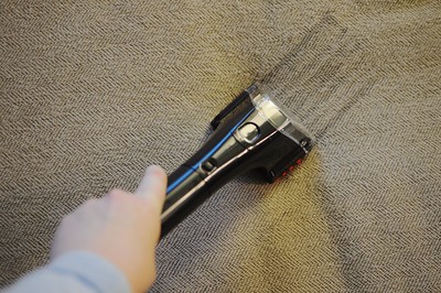 carpet cleaning gold coast pet stains