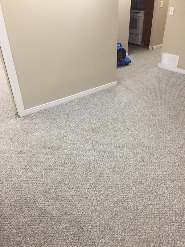 carpet and upholstery cleaning services near me