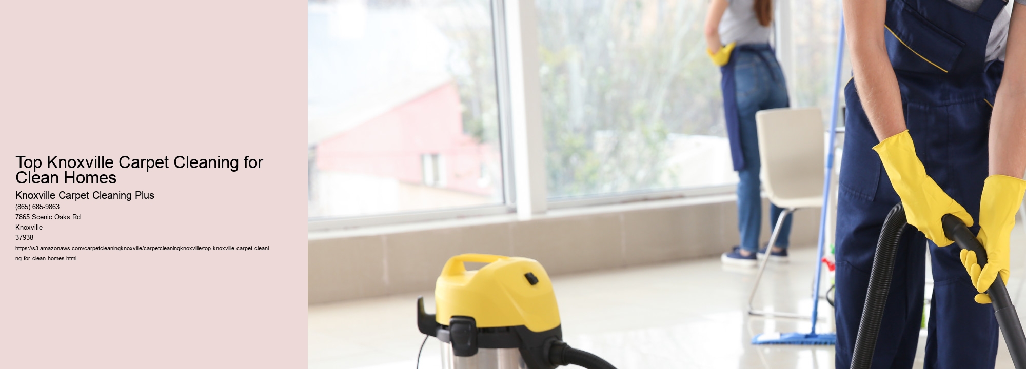 Top Knoxville Carpet Cleaning for Clean Homes