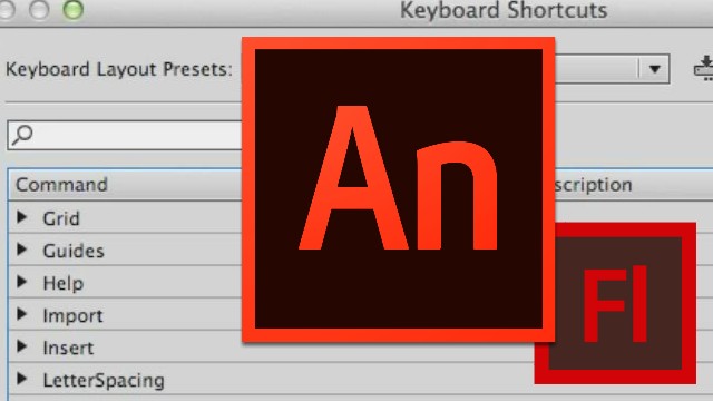 Flash Basics Video Tutorial - Initial Setup 2
