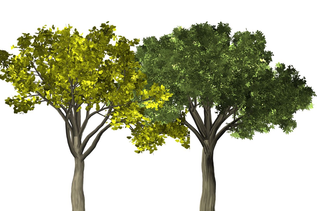 Creative green landscaping