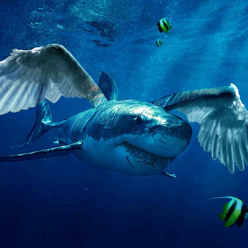 Cool Water Sharks Cover Art Blurred Background