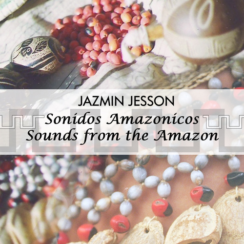 Sounds from the Amazon Cover Art Blurred Background